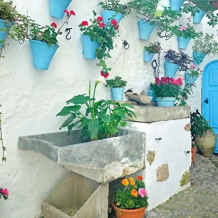 Pensión De Patios 2*